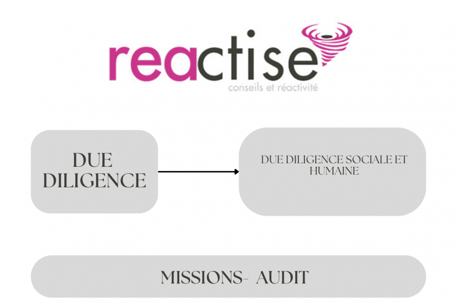 Due diligence sociale et humaine